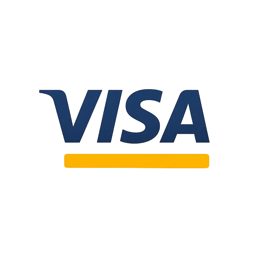 Visa card icon